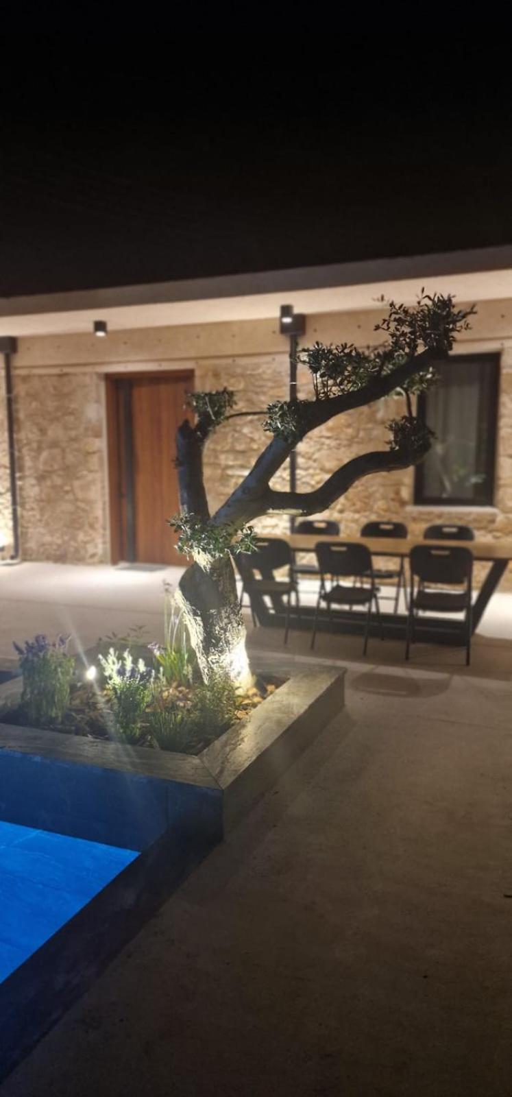 Phaedrus Living Olive Grove Luxury Villa Paphos Exteriör bild